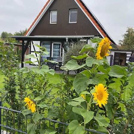 Ferienhaus Kiebitz Dorumer Neufeld Eksteriør bilde
